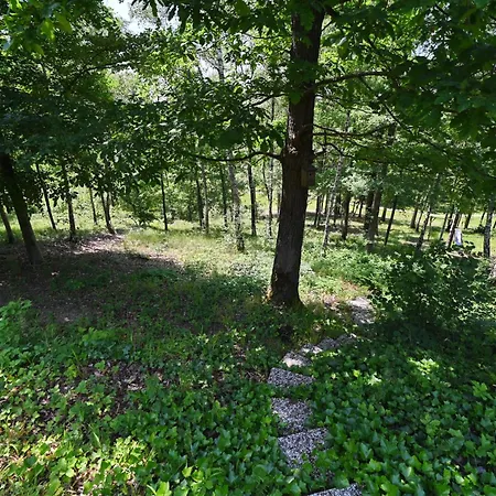 Chateau Angelus Барво